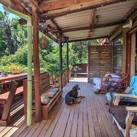 In The Green Backpackers Morgan's Bay Exterior photo